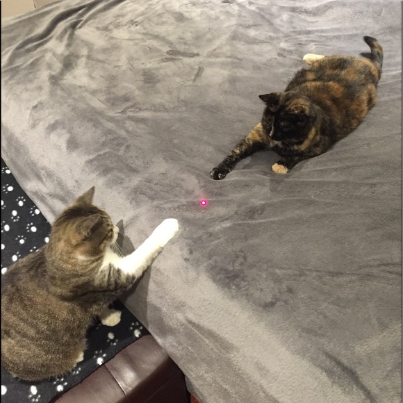 Meet your Posher, Katherine - Picture 1 of 1